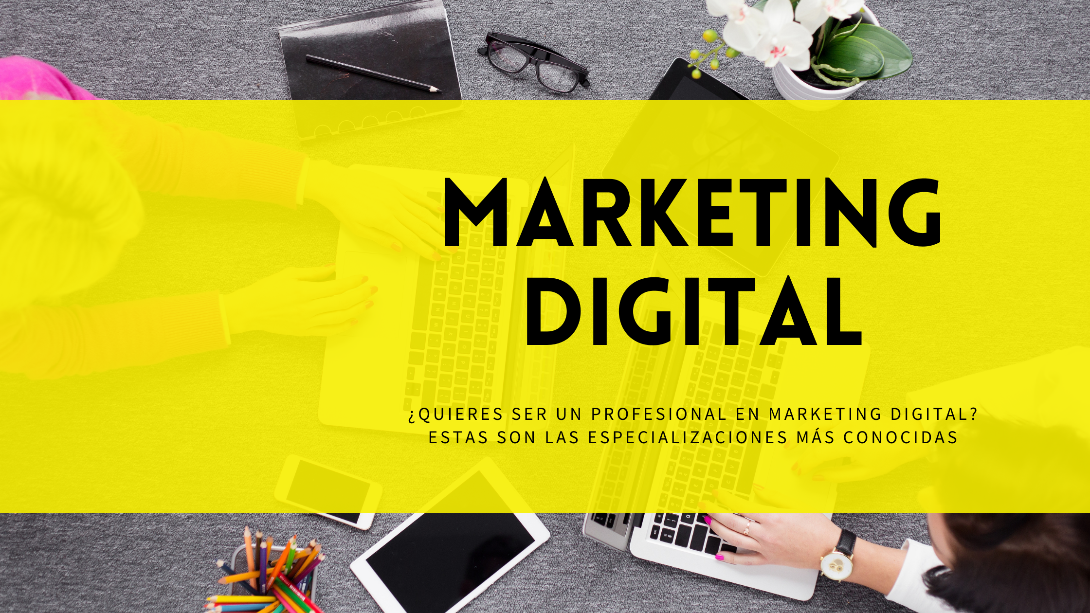 profesional-en-Marketing-Digital